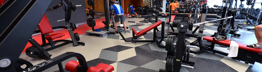 Virgin Active Emquartier Mall, Bangkok, Thailand - Neoflex Natural Series REPtile Fitness Flooring with Graphics